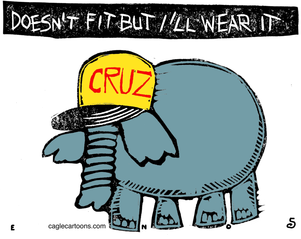  THE CRUZ FIT by Randall Enos