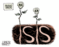 BRUSSELS AND ISIS by John Cole