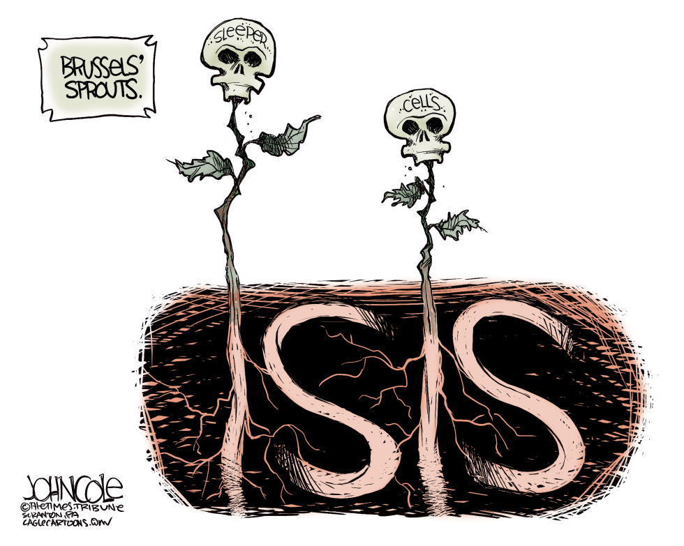  BRUSSELS AND ISIS by John Cole