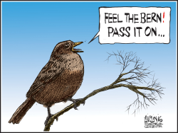 BERNIE'S BIRDS by Aislin