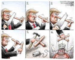 THE RISE OF TRUMP by Adam Zyglis