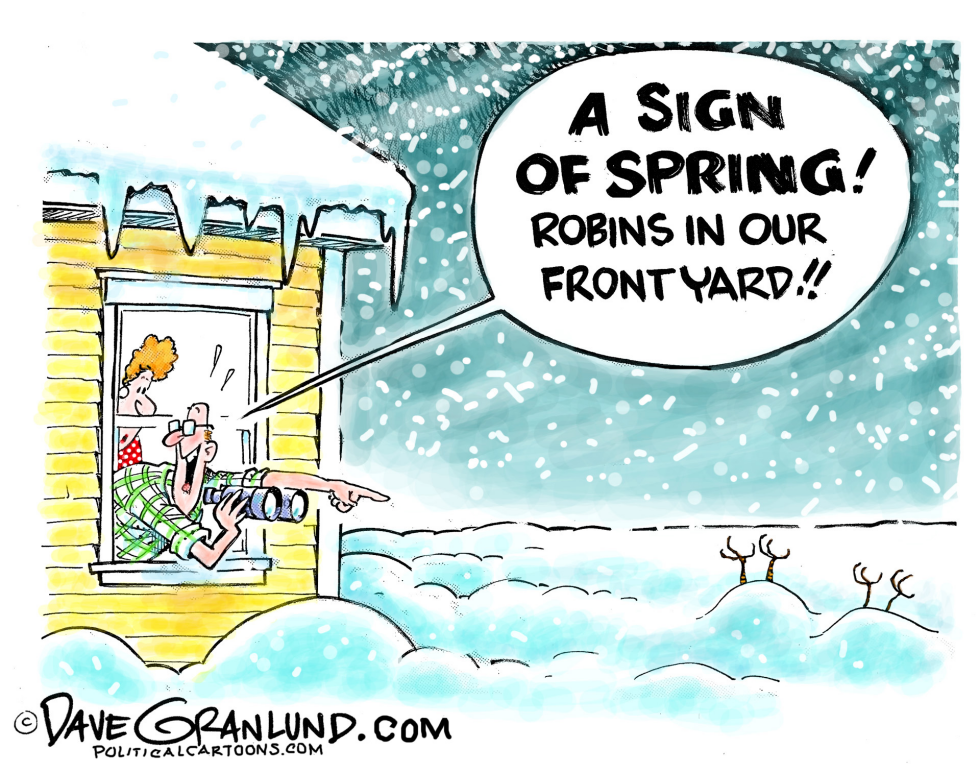  SPRING SNOWSTORMS by Dave Granlund