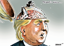 TRUMP'S WALL by Sabir Nazar