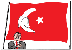 TURKISH REPUBLIC by Schot