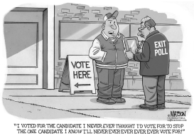 STRATEGIC VOTER by RJ Matson