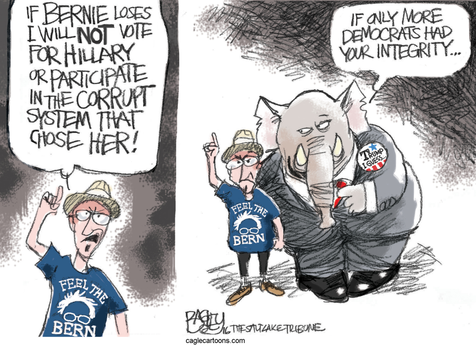  BURNED BERNERS by Pat Bagley