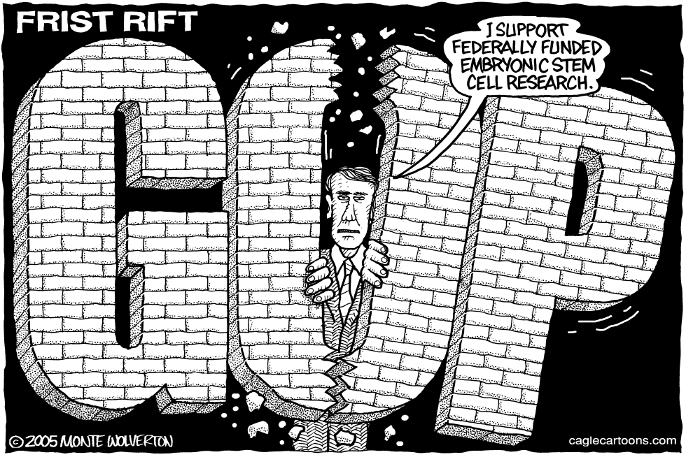  FRIST RIFT by Wolverton