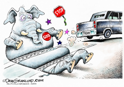 TRUMP RUNS OVER GOP by Dave Granlund