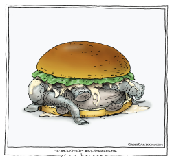 TRUMPBURGER by Joep Bertrams