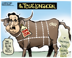 CRUZ THE LONGHORN by John Cole