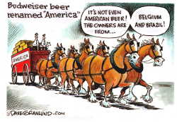 BUDWEISER BEER RENAMED by Dave Granlund