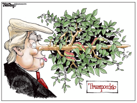 TRUMPOCCHIO    by Bill Day