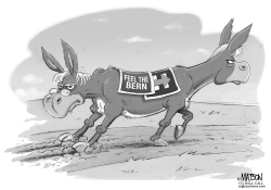 DIVIDED DEMOCRATS ON PATH TO VICTORY by RJ Matson