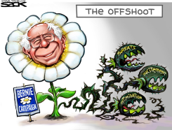 BERNING BUSH by Steve Sack