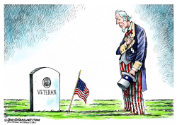 MEMORIAL DAY VISITOR by Dave Granlund