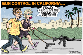 LOCAL-CA GUN CONTROL BILLS by Wolverton