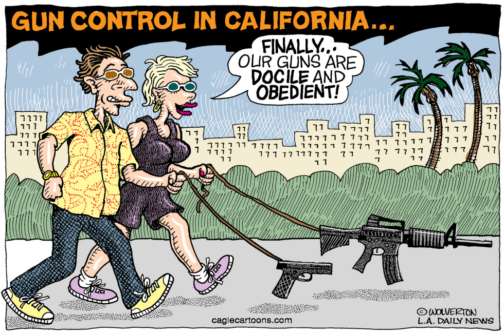  LOCAL-CA GUN CONTROL BILLS by Wolverton