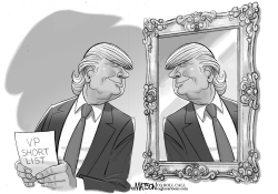 TRUMP VICE PRESIDENT SEARCH by RJ Matson