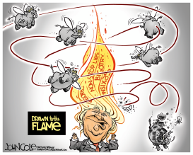 GOP DRAWN TO THE FLAME by John Cole