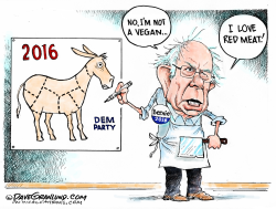 BERNIE AND RED MEAT by Dave Granlund