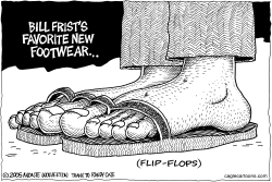 FRISTS FAVORITE FOOTWARE by Wolverton