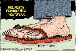 FRISTS FAVORITE FOOTWARE  by Wolverton