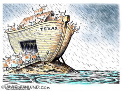 TEXAS FLOODS by Dave Granlund