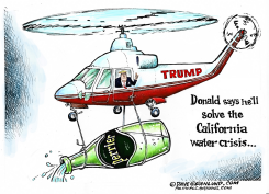 TRUMP AND CA WATER CRISIS by Dave Granlund