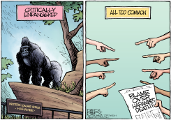 HARAMBE by Nate Beeler