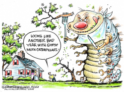 GYPSY MOTH CATERPILLARS by Dave Granlund