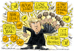 TRUMP AND THE JUDGE by Daryl Cagle