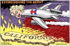 LOCAL-CA EXTINGUISHING THE BERN by Wolverton