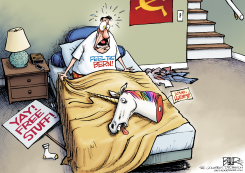 CRASH AND BERN by Nate Beeler