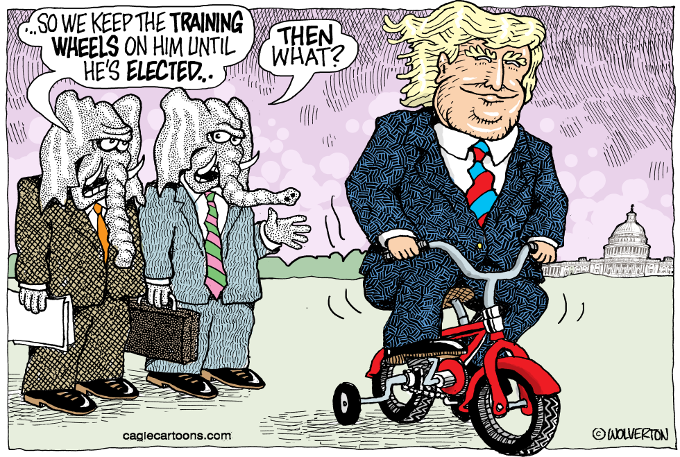  TRUMP TRAINING WHEELS by Wolverton