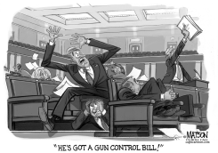 GUN CONTROL PANIC IN CONGRESS by RJ Matson