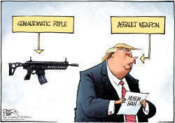 GUNS AND BANS by Nate Beeler