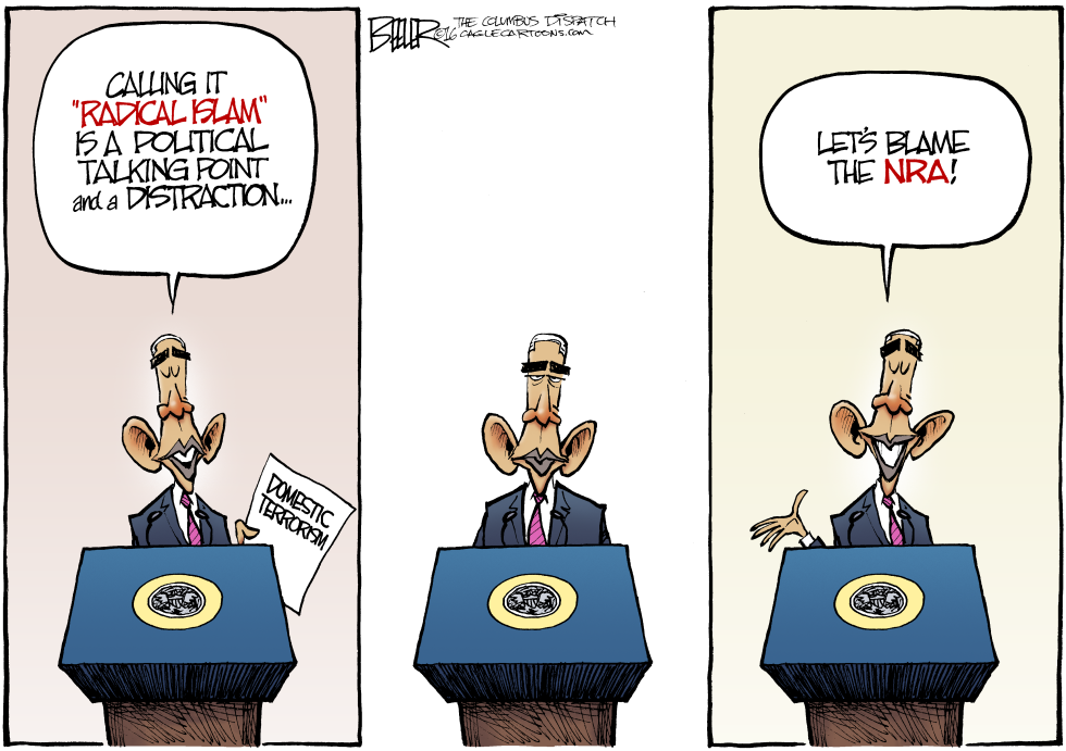  DISTRACTIONS by Nate Beeler