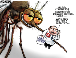 ZIKA V CDC by Steve Sack