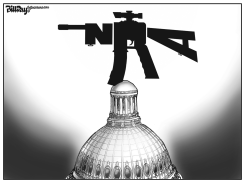 NRA CONGRESS by Bill Day