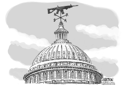 NRA POLITICAL WEATHERVANE ON CAPITOL HILL by RJ Matson