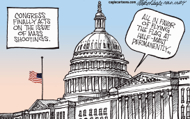 CONGRESS ON GUNS by Mike Keefe