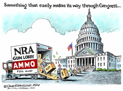 GUN LOBBY AND CONGRESS by Dave Granlund