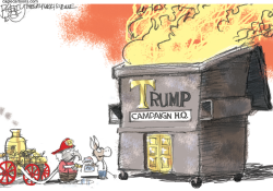 DONALD DUMPSTER FIRE by Pat Bagley