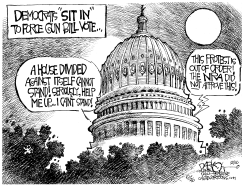 DEMOCRAT SIT IN by John Darkow