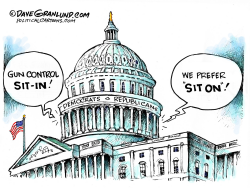 GUN CONTROL SIT-IN by Dave Granlund