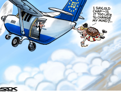 BREXIT REGREXIT by Steve Sack