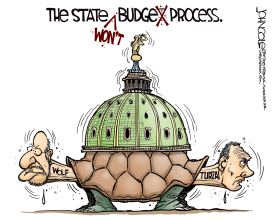 LOCAL PA  STATE BUDGET TURTLE by John Cole