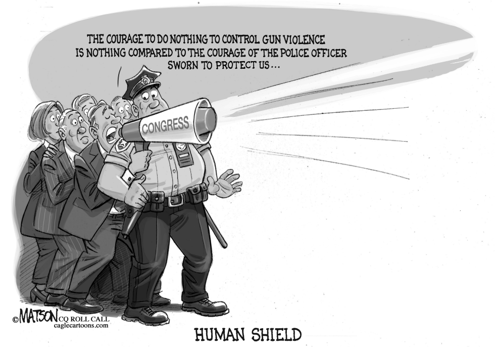  DO-NOTHING CONGRESS USES THE POLICE AS HUMAN SHIELD by RJ Matson