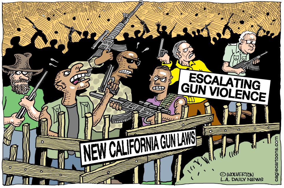  LOCAL-CA NEW INEFFECTIVE CALIF GUN LAWS by Wolverton