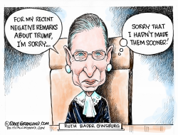 JUSTICE GINSBURG VS TRUMP by Dave Granlund